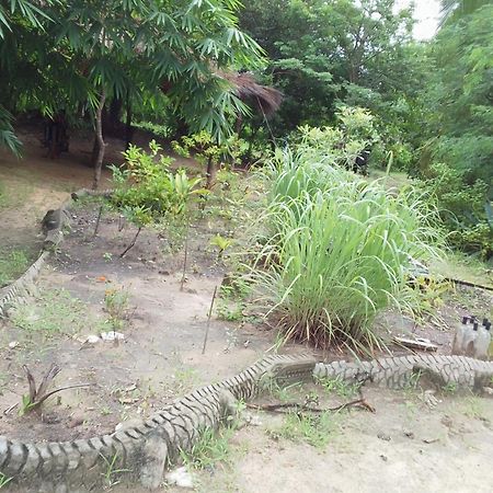 AbéméLittle Baobab住宿加早餐旅馆 外观 照片