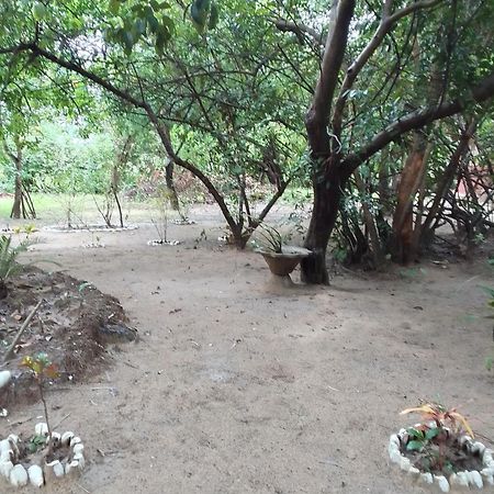 AbéméLittle Baobab住宿加早餐旅馆 外观 照片