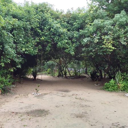 AbéméLittle Baobab住宿加早餐旅馆 外观 照片