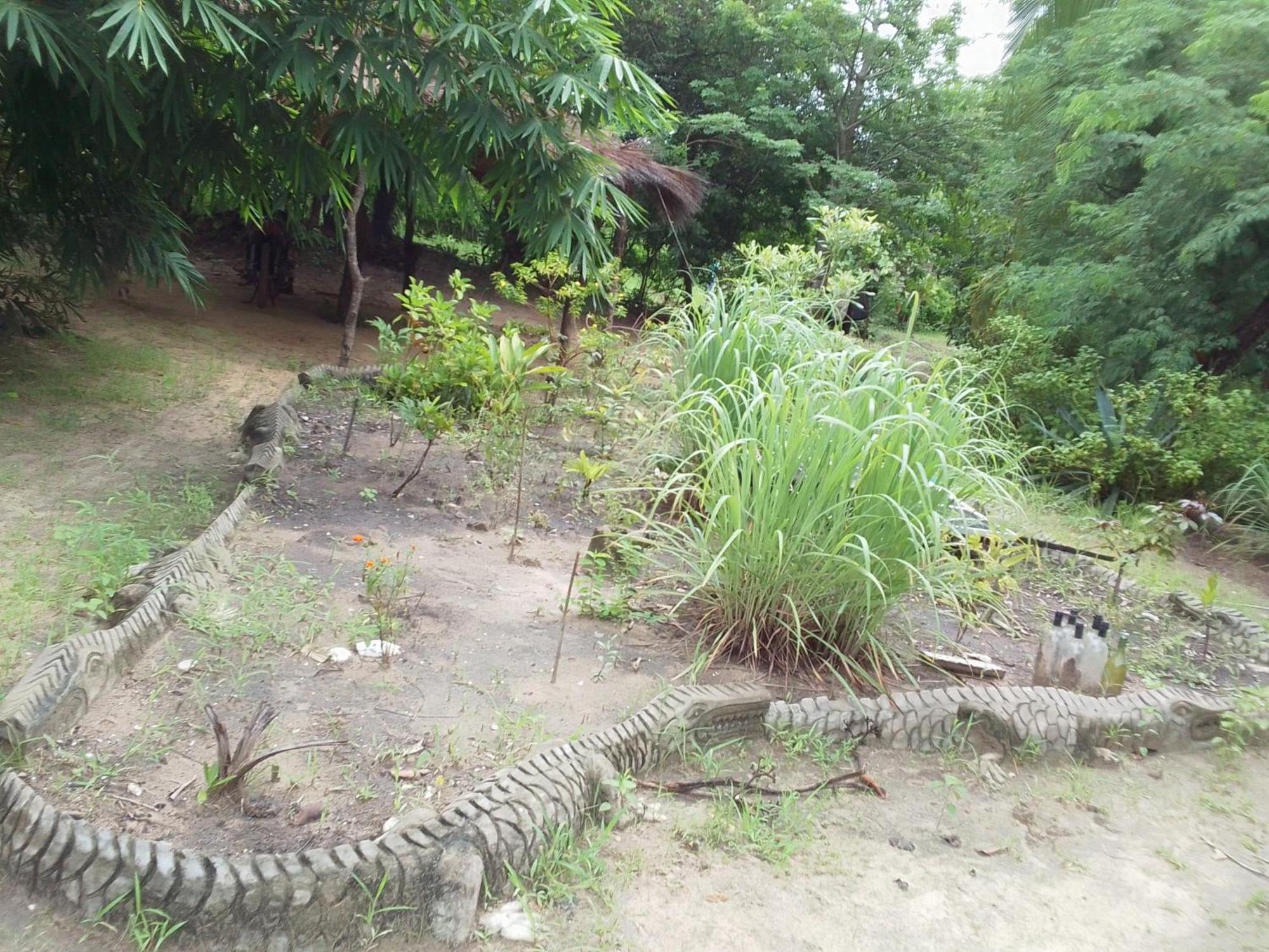 AbéméLittle Baobab住宿加早餐旅馆 外观 照片