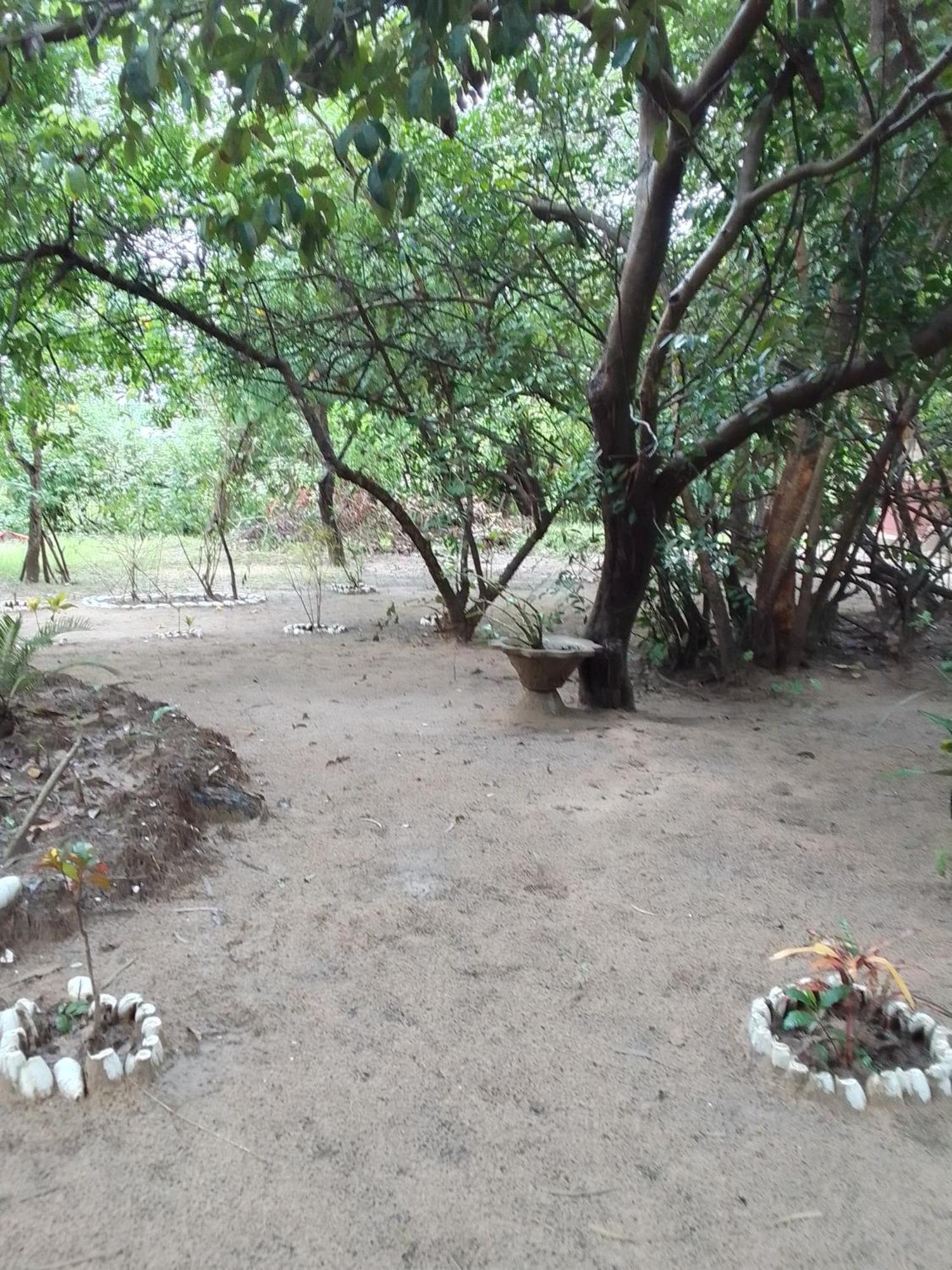 AbéméLittle Baobab住宿加早餐旅馆 外观 照片