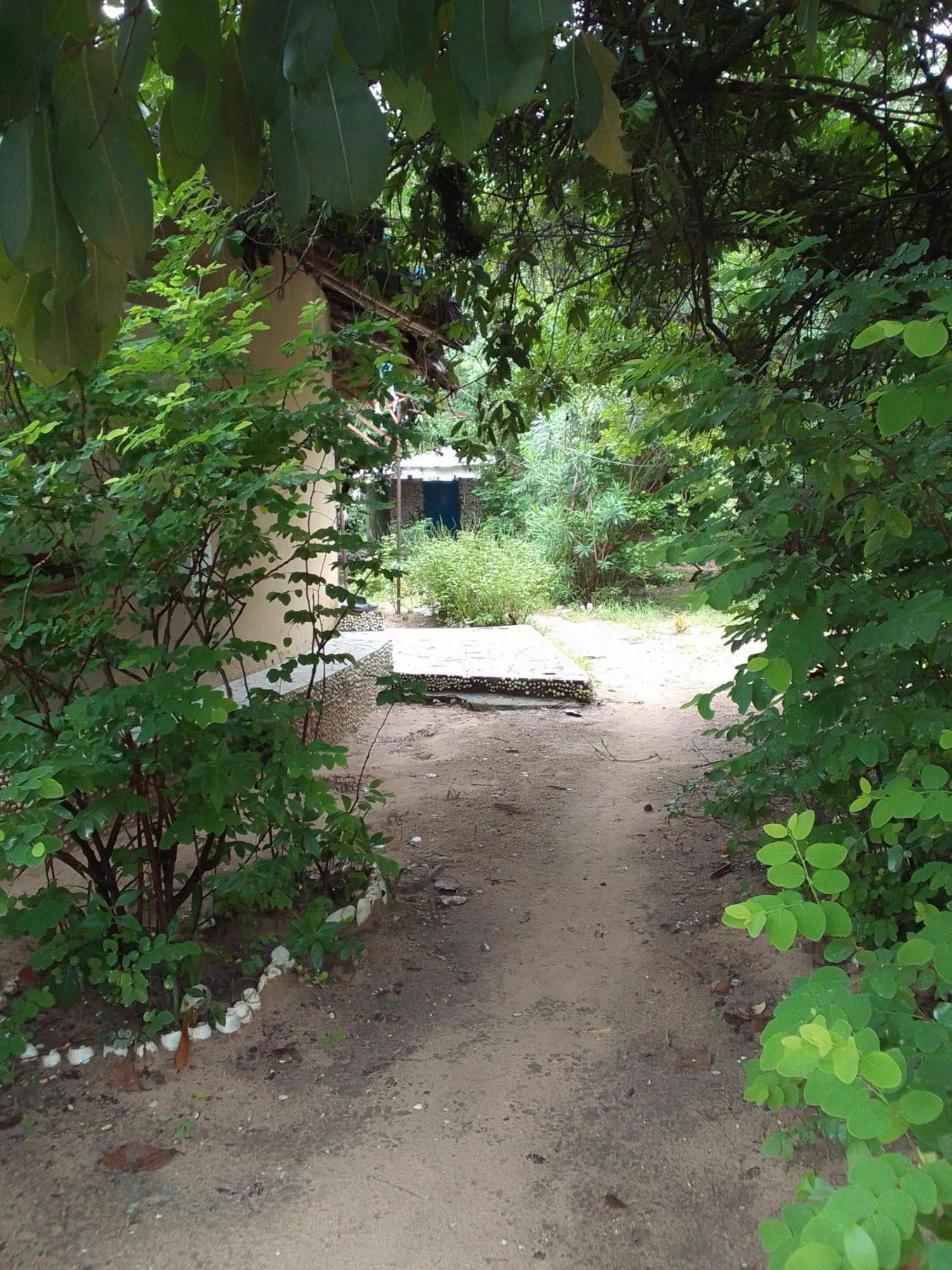 AbéméLittle Baobab住宿加早餐旅馆 外观 照片