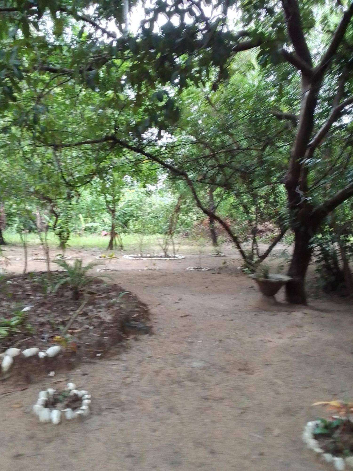 AbéméLittle Baobab住宿加早餐旅馆 外观 照片