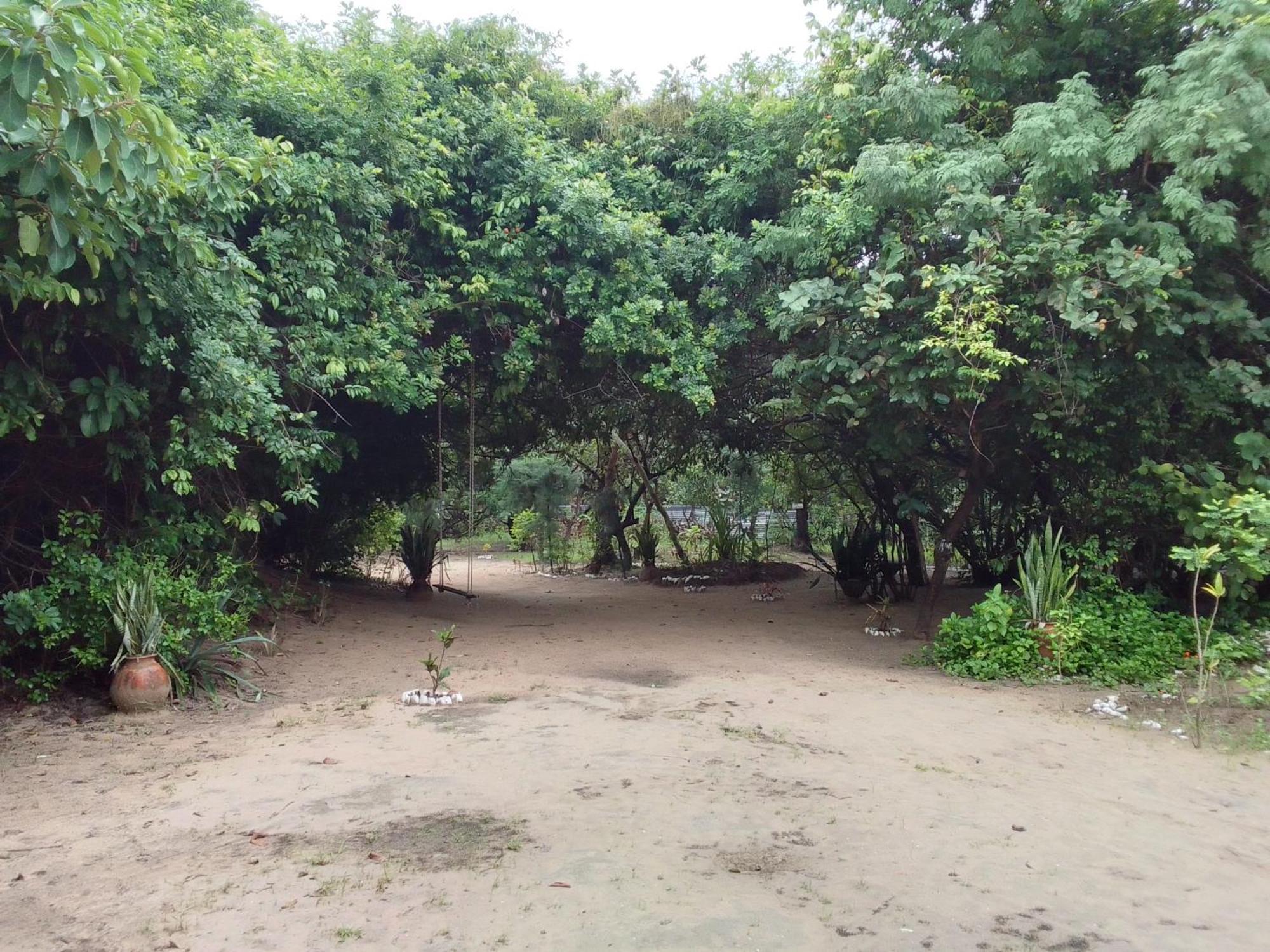 AbéméLittle Baobab住宿加早餐旅馆 外观 照片